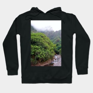 Iao Valley State Park Study 3 Hoodie